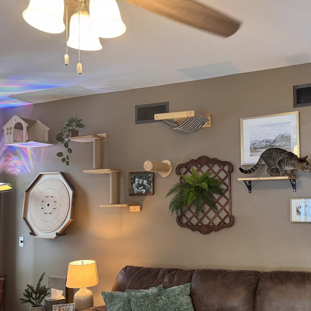 Furniture Paradise & Hardware Ghaziabad By Owner - Meubles pour chat, pont suspendu en